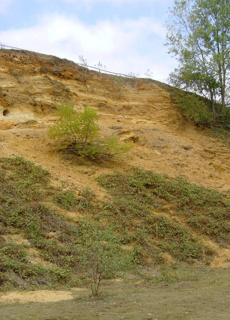 폐채굴장의 모래 절벽 - geograph.org.uk - 1527319