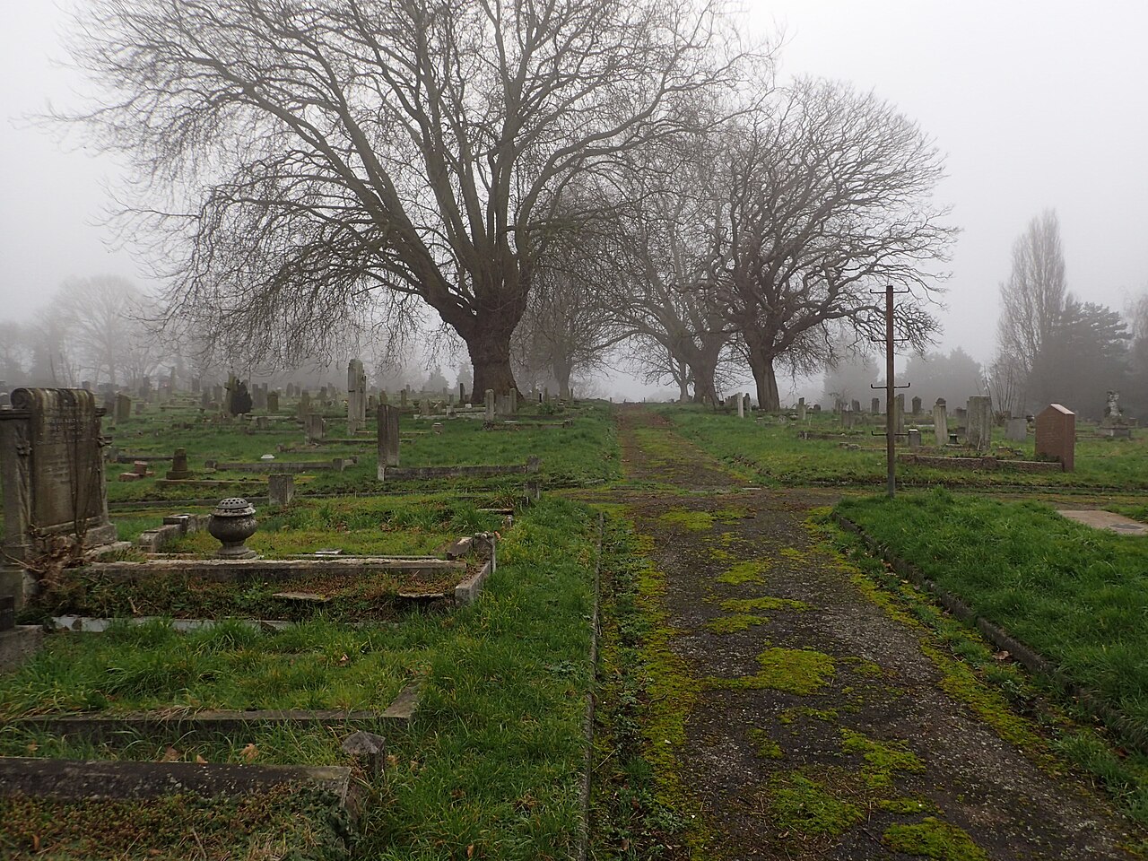 플럼스테드 묘지의 어는 안개 - geograph.org.uk - 6726121